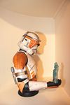 STAR WARS SIDESHOW LEGENDARY SCALE BUSTE COMMANDER CODY MINTINBOX