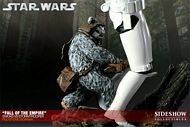 STAR WARS SIDESHOW DIORAMA STORMTROOPER EWOK