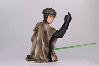 Star Wars Gentle Giant Luke Skywalker Endor MB