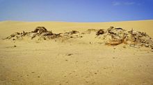 star wars save mos espa project indigogo project foundraising travaux dune danger tunisie