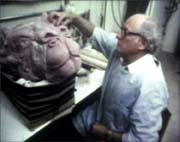 The Lost Documentary of Michel Parbot The Making of The Empire Strikes Back